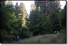 Small clearing test site