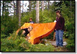 Tarp shelter