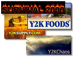 Y2K sites